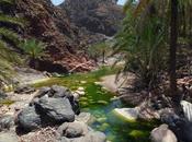 Islas Socotra: maravilla Océano Índico, digna otro mundo