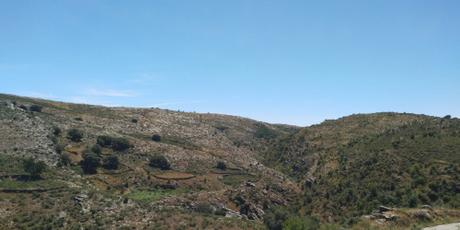 Corrales curvos en la Sierra Norte de Guadalajara