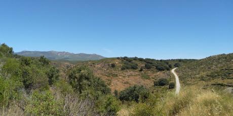 Corrales curvos en la Sierra Norte de Guadalajara