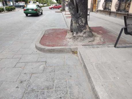 Inician trabajos del primer tramo de la ciclovía de Avenida Carranza