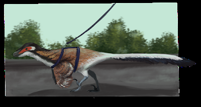 Viajando al pasado con Small Microraptor Viajando al pasado con Small Microraptor
