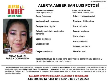Alerta Amber: Nelly Lizeth fue vista por última vez en Salinas, SLP