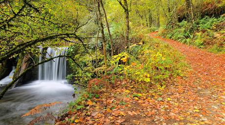 Muniellos, la promesa de un otoño de cuento