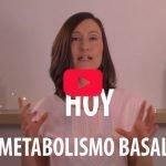 metabolismo basal