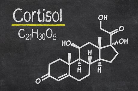 Fórmula química del cortisol