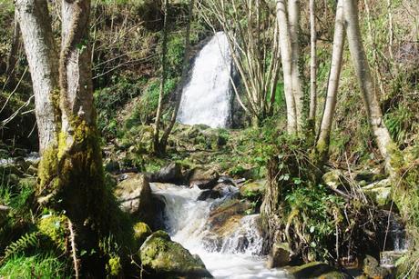ASTURIAS para disfrutar: Senda de la cascada del Nonaya