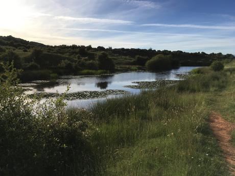 Planes de ocio para el fin de semana en Ponferrada y el Bierzo. 14 al 16 de agosto 2020