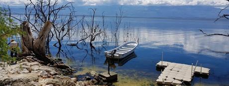 El muro de la ignorancia en una isla indivisible