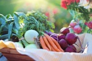 verduras y tubérculos