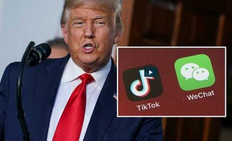 Donald Trump, a fondo contra las aplicaciones chinas: vetó a Tik Tok y WeChat