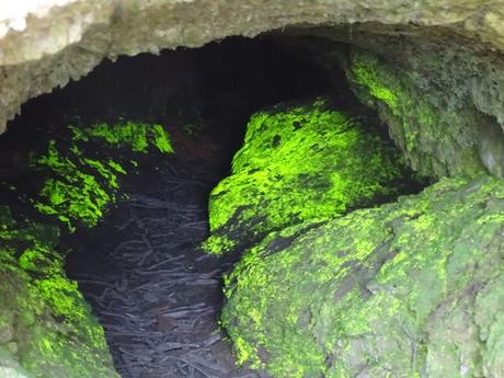 Ruta 4x4 por la Sierra de Gata: Surf Montain, el Oro de los Duendes y aves gigantes.