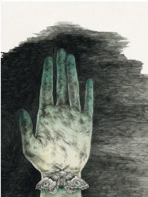 MI CAPULLO PRESIONA.