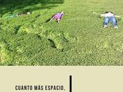 Claridad