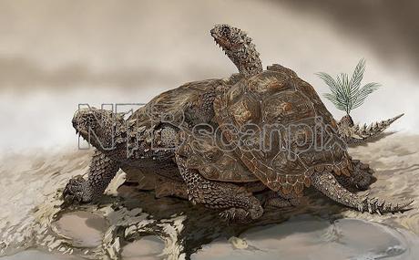 Nueva tortuga del Triásico