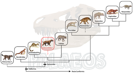 Nuevo dientes de sable y el destino de los barburofélidos Nuevo dientes de sable y el destino de los barburofélidos