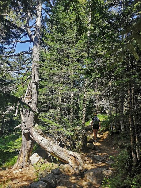 AIGÜES TORTES: Sant Maurici y Refugio de Amitges