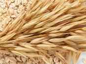 AVENA DEBE FALTAR DIETA Nivela colesterol adelgazar ràpido naturalmente