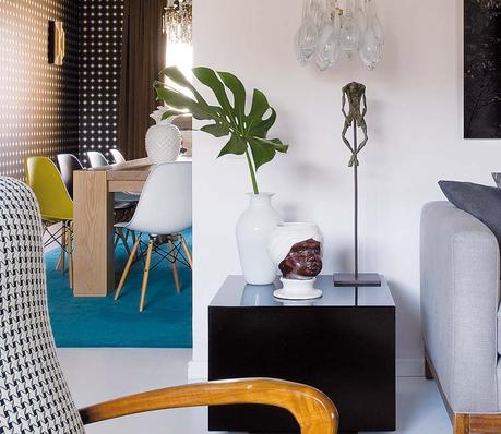 Costilla de adan como elemento de decoracion