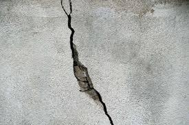 MANIFIESTO NEFASTO MANIFIESTO NEFASTO