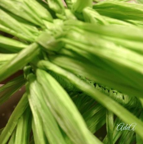 Hacer Falda Hawaiana Casera