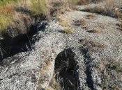 Necrópolis Palomera, Yunclillos, Toledo