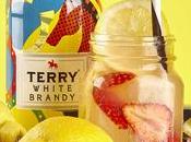Cócteles homemade perfectos para momentos especiales Terry White Brandy