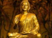 Invitación Zazenkai agosto 2020