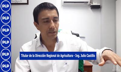 DRALP PROYECTA RECUPERAR FAJA MARGINAL DE LOS RÍOS DE LIMA PROVINCIAS...