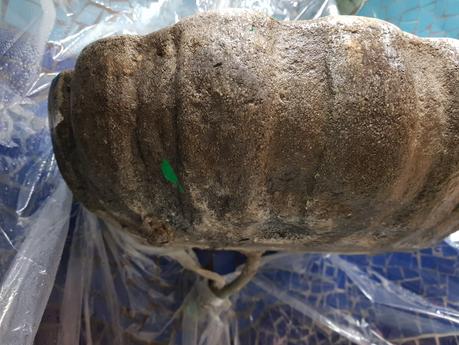 Restauración con Trencadis