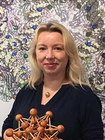 Teoría de grupos y virus