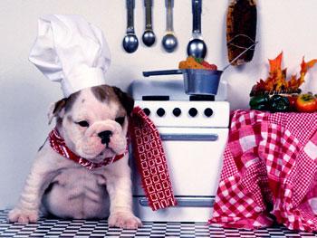 Alimentos permitidos perros