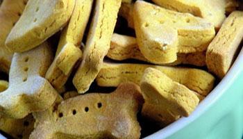 alimentos perros alimentos perros