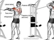 Face Pull ejercicio esencial para deltoides posteriores postura