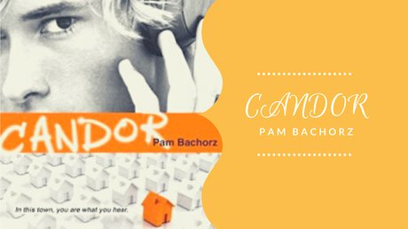 pam bachorz books pam bachorz books