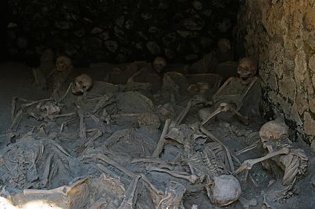 POMPEYA Y LA CRUEL NATURALEZA