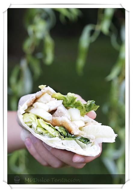 Salad Wrap
