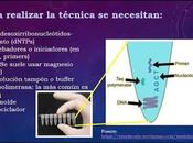 CLASE: Técnicas Biología Molecular Marcadores Moleculares