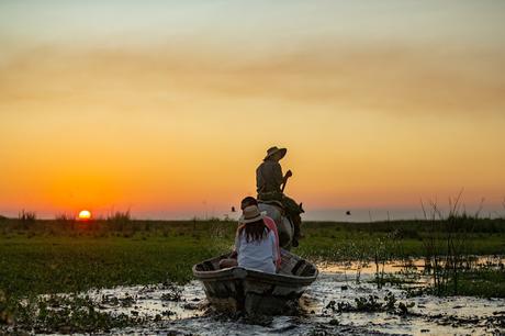 Parque Nacional Iberá. La joya que los extranjeros vienen a admirar. Parque Nacional Iberá. La joya que los extranjeros vienen a admirar.
