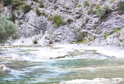 rio ara