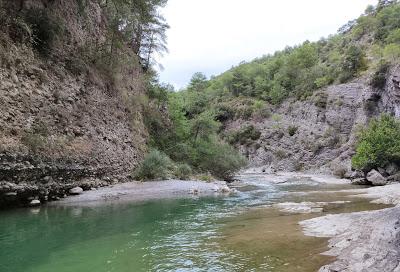 Río Ara (Sobrarbe, Huesca)
