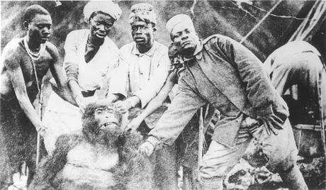 El descubrimiento del gorila de montaña