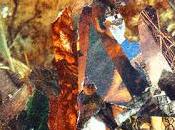 Estructuras Aire, Colonias Soplo (2018)