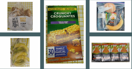 Youth Global Newsletter OWOS