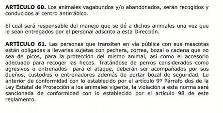 Ayuntamiento señala de falso a reglamento existente para evitar críticas Ayuntamiento señala de falso a reglamento existente para evitar críticas