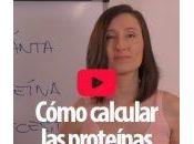 Cómo calcular proteínas necesito consumir