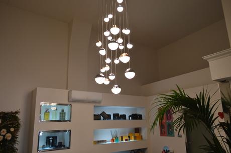 Bosco celebra su 20 aniversario con nueva ubicación en el centro de la ciudad