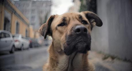 DokuFest 2020: Transformación DokuFest 2020: Transformación