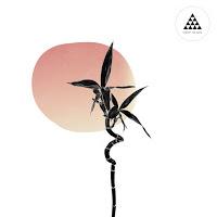 Zeb Samuels estrena Vibration