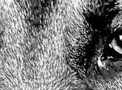 Retrato Blanco Negro