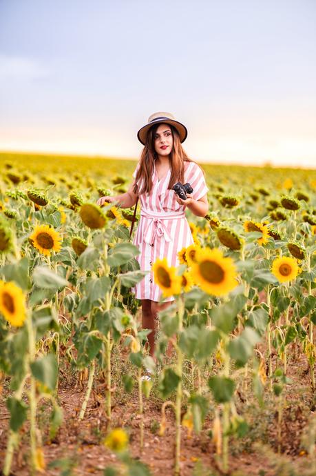 Tienes en tus ojos girasoles Tienes en tus ojos girasoles